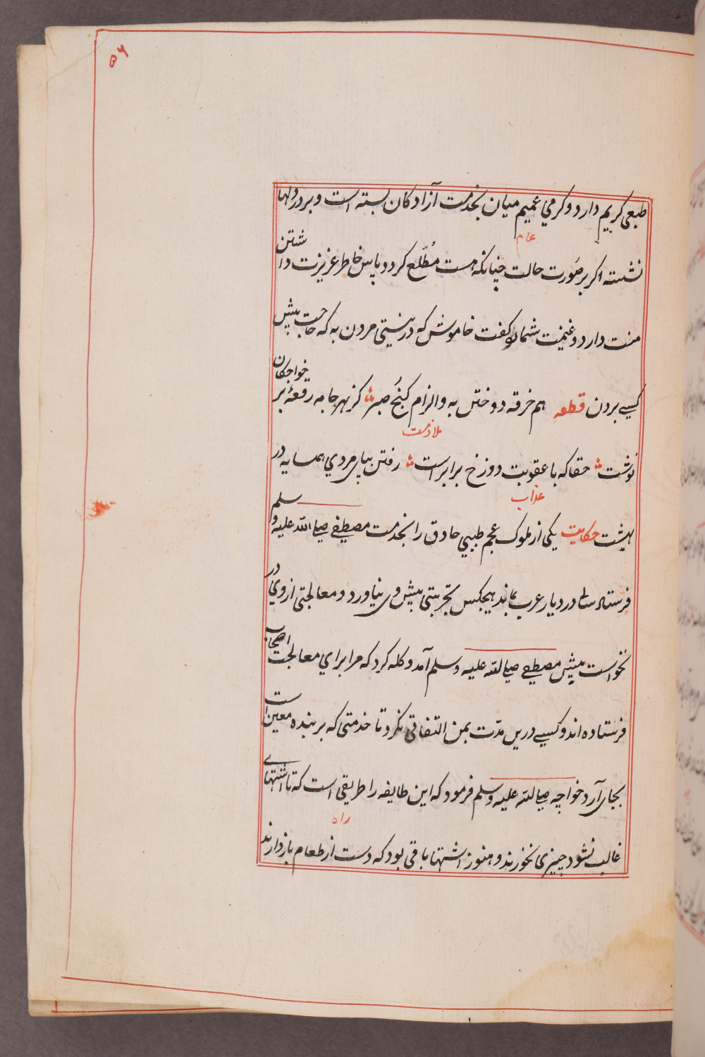 Folio 56 recto